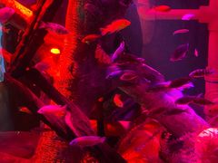 -沈阳海洋探索中心