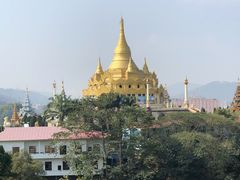 -瑞丽独树成林风景区