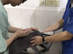 -畜牧兽医站(共江路店)