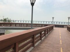 -宝安西湾红树林湿地公园