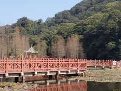 -广州市石门国家森林公园
