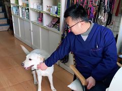 -小叮当动物医院·骨科·眼科