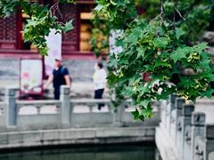 -香山公园