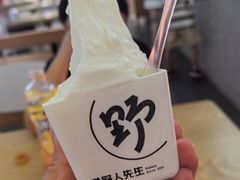 -野人先生Gelato(上海长宁龙之梦店)