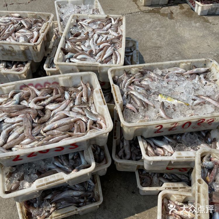 新村码头!海鲜买到爽,帮你避坑!