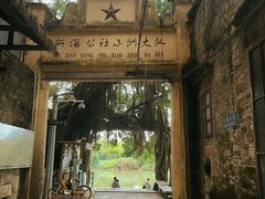 -小洲村