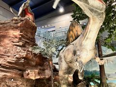 -湖南省地质博物馆