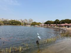 -新江湾城公园