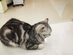 -共舞时光猫咖·狗咖(新街口店)