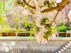 -海棠花溪(元大都城垣遗址公园)