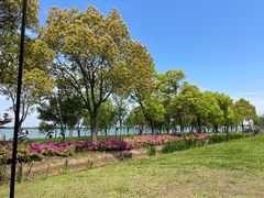 -阳澄湖半岛旅游度假区