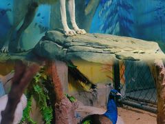 -梦幻海洋王国(吾悦广场张家港店)