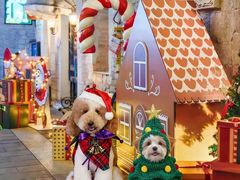 -华谊兄弟（长沙）电影小镇