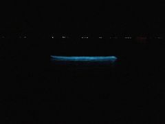 -金梦海湾浴场