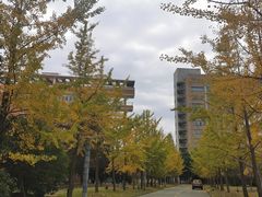 -中国计量大学(西校区)