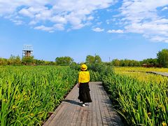-永定河休闲森林公园