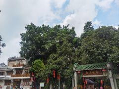 -荔湾湖公园