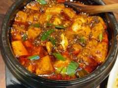 -陈麻婆豆腐(旗舰店)