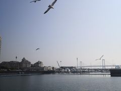 -星海蹦极娱乐
