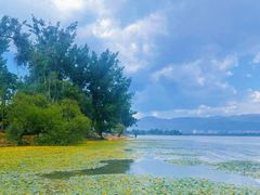 -西昌邛海湿地