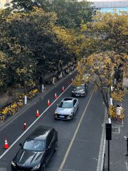 -浙江大学医学院附属妇产科医院(湖滨院区)