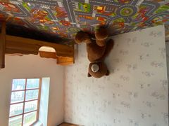 -金山农民画村-枫泾波兰倒置屋