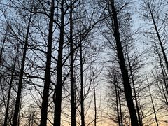 -滆湖低碳生态公园