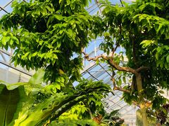 -国家植物园南园