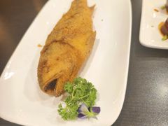 -老牌坊鲁菜名店(聊城美食岛店)