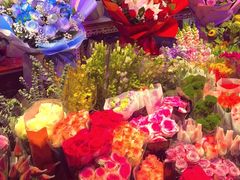 -花鸟鱼虫鲜花绿植市场(玉泉路店)