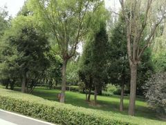 -迎泽公园
