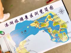 -溱湖国家湿地公园