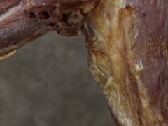 -蒙古人烤羊腿(裕兴路店)