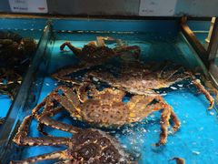 -必点海鲜·鲅鱼水饺(鞍山西道店)