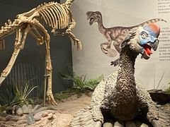 -自贡恐龙博物馆