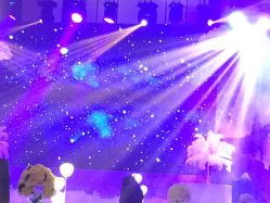 -M'S BANQUET AND SPACE ART