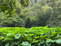 -成都杜甫草堂博物馆