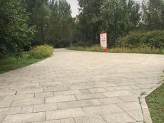 -群力丁香公园