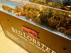 -RED LOBSTER(环球影城大阪店)
