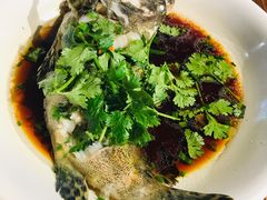 龙趸石斑鱼-盒马鲜生(杭州运河上街店)
