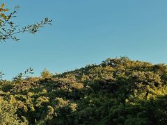 -杭州野生动物世界