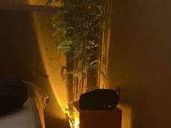 -宁采臣Sleep·采耳·SPA放松馆(湖里万达店)