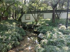 -杭州植物园