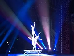 -珠海横琴长隆《卡卡虎奇遇记》