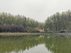 -仁和公园(顺义区)