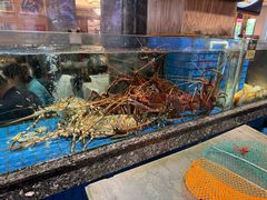 -聚福宝合苑食府(南头镇店)