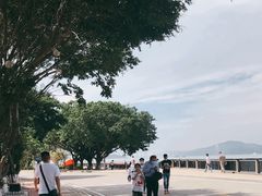-南沙天后宫景区