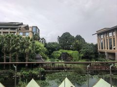 -昆明洲际酒店