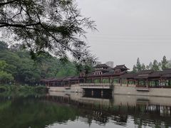 -重庆彩云湖湿地公园