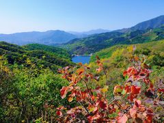 -北京西山国家森林公园